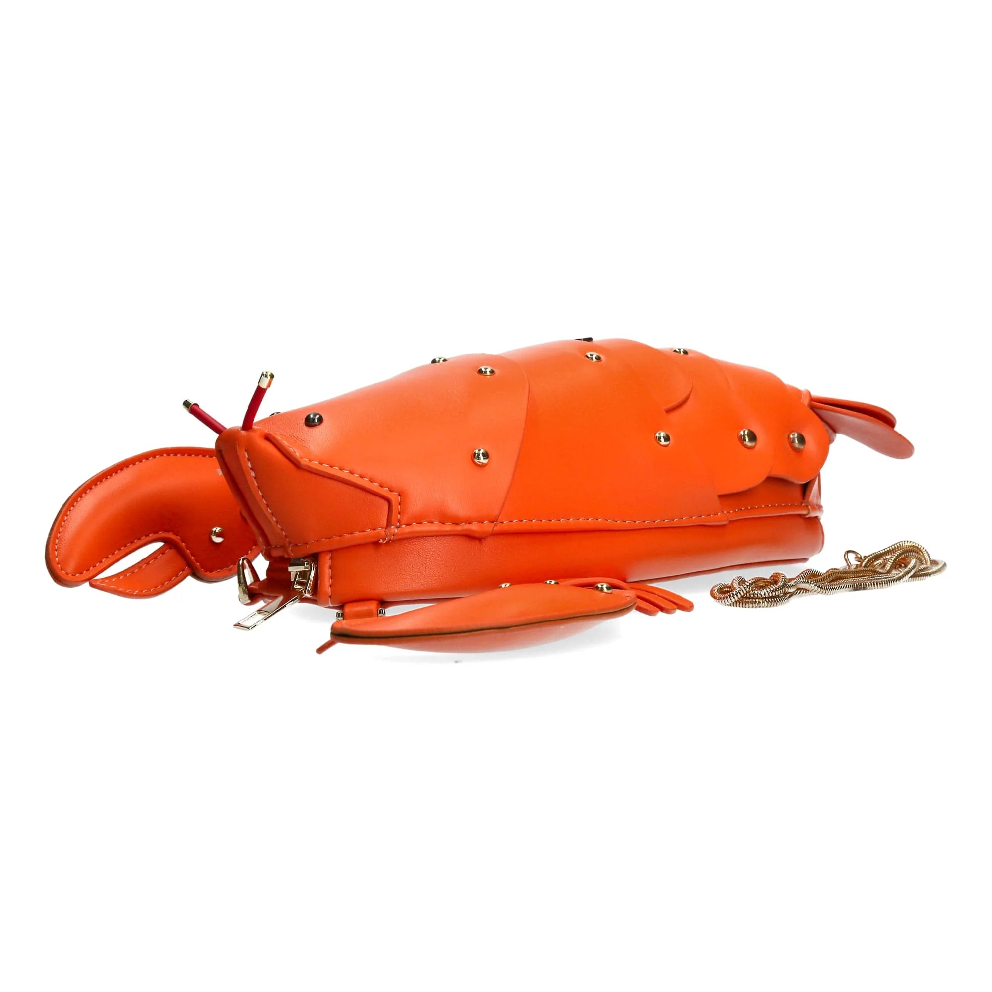 Image du produit 10